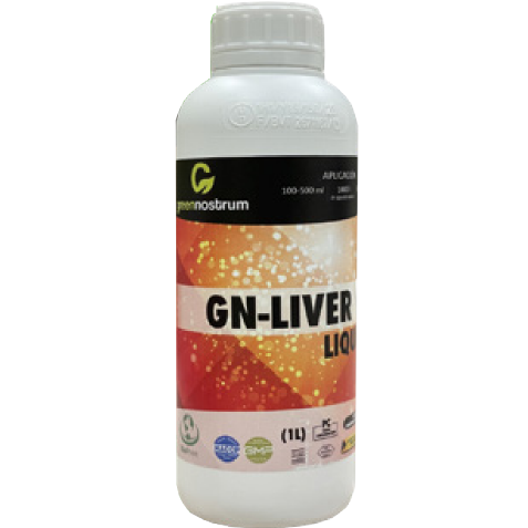 GN-Liver con extracto de alcachofa